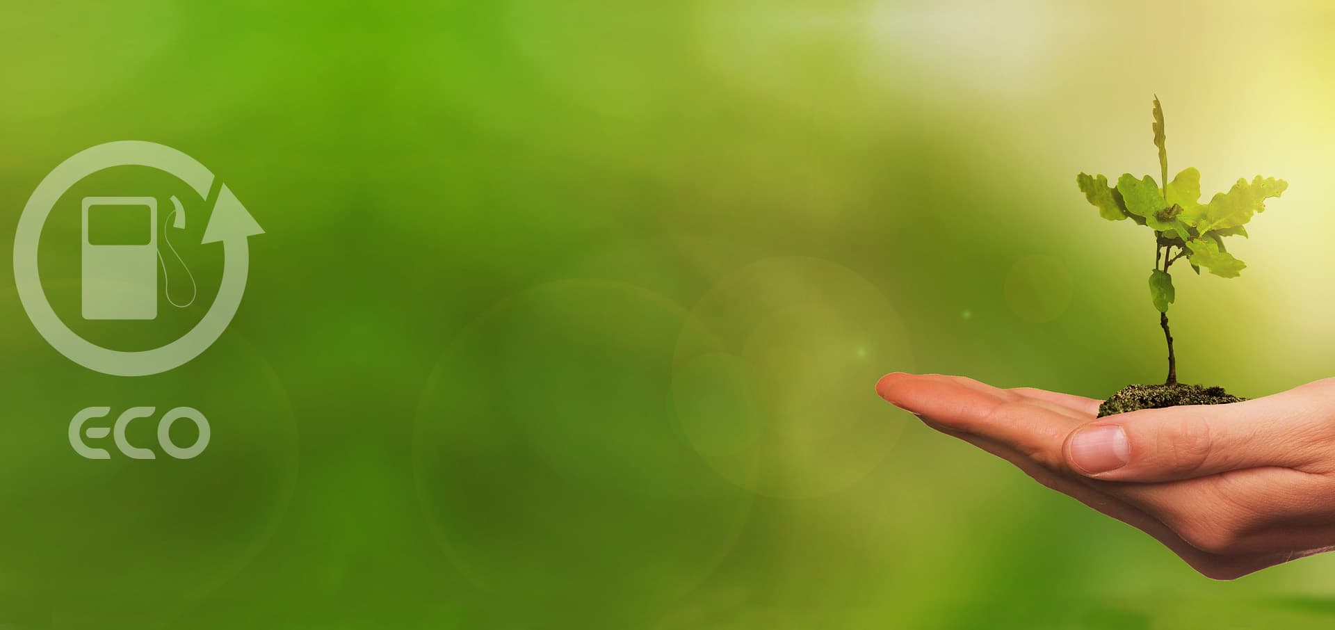 Asesoría medioambiental para empresas